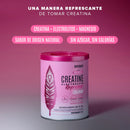 Creatine Electrolyte Refresher Birdman - Pink Lemonade 300 g