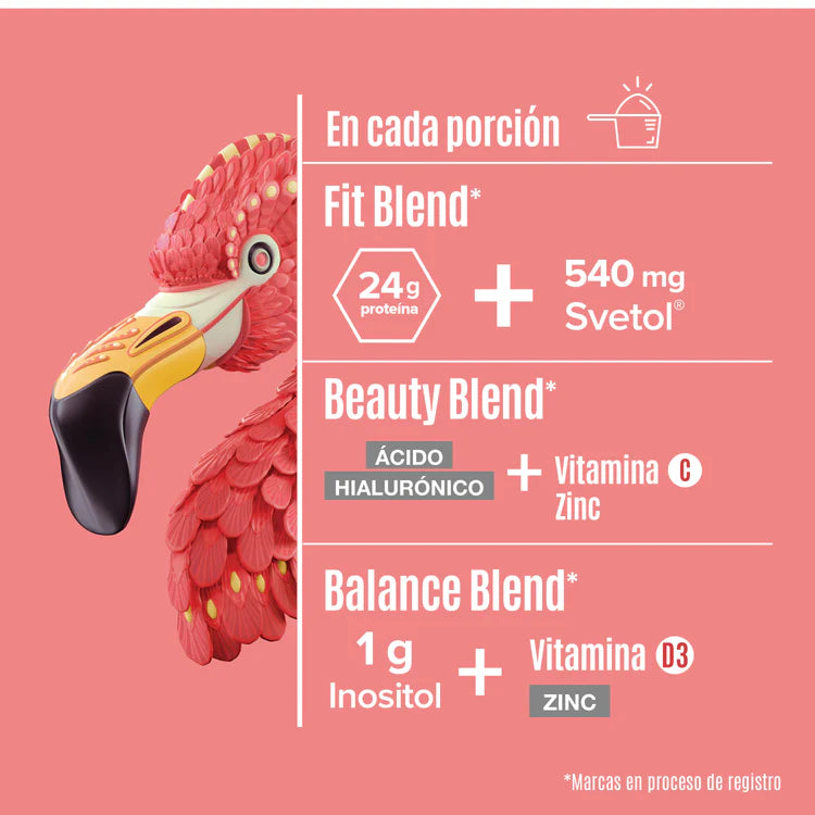 Fitmingo Proteina Birdman Vainilla 510 g