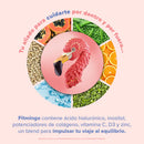 Fitmingo Proteina Birdman Vainilla 510 g