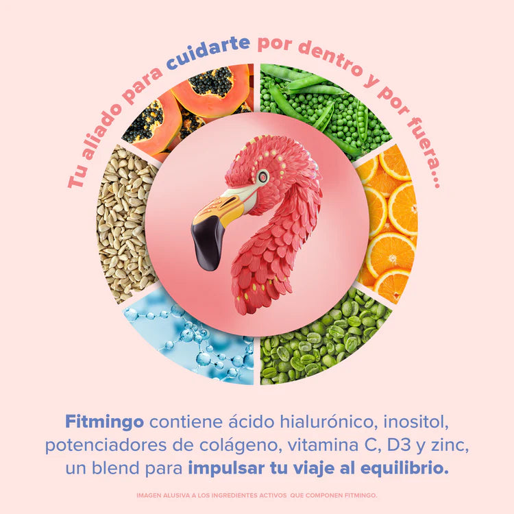 Fitmingo Proteina Birdman Vainilla 510 g